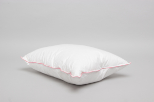 Executive Standard Pillow in a Pillow Soft 800 grams