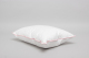 Executive Standard Pillow in a Pillow Soft 800 grams